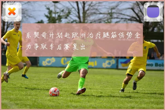东契奇计划赴欧洲治疗腿筋伤势全力争取季后赛复出
